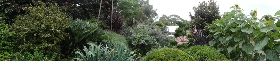DSC03576