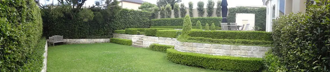 DSC03910