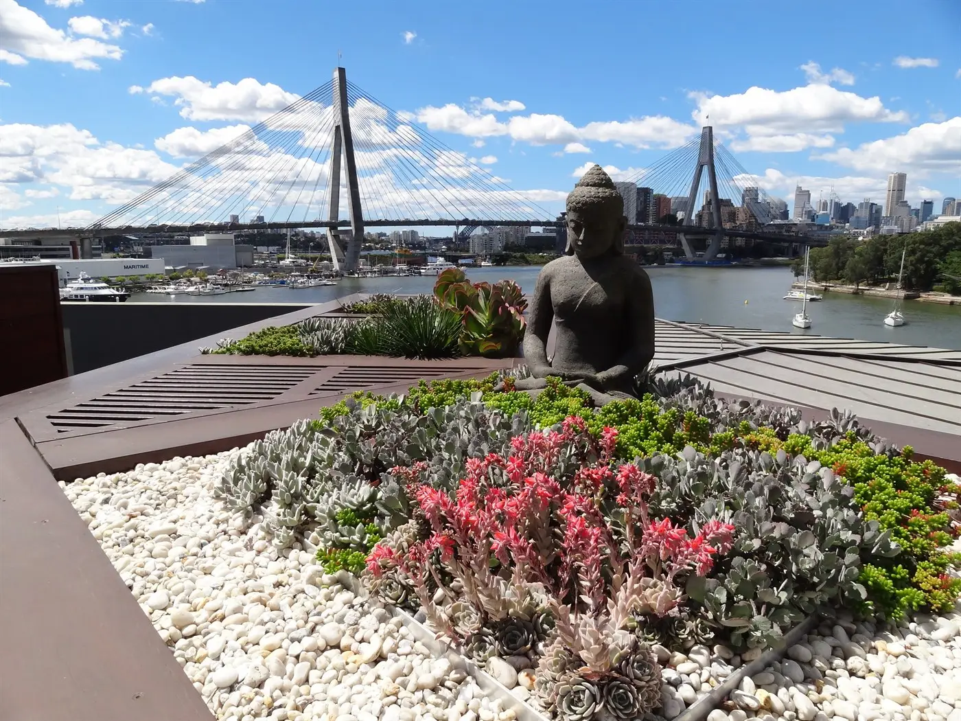 Rooftop Garden - Glebe