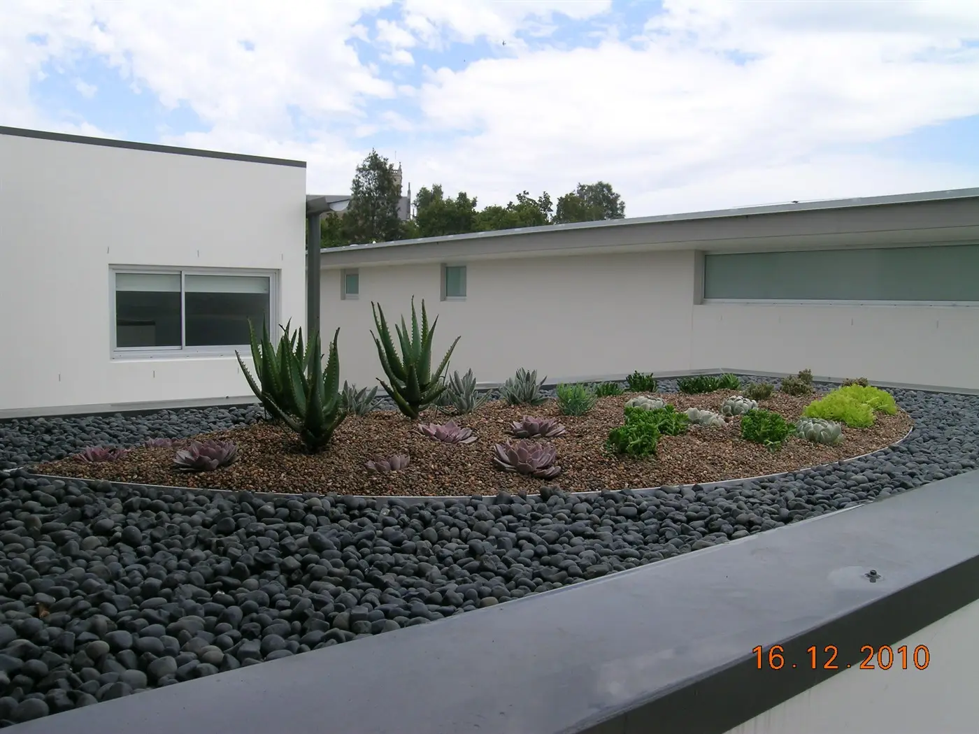 DSCN3153.JPG